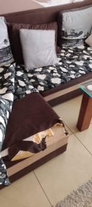 eksmisja wilczlino gdynia