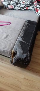 nielegalni mieszkancy gdynia wilczlino