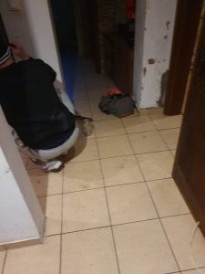 usuwanie lokatorow starogard gdanski